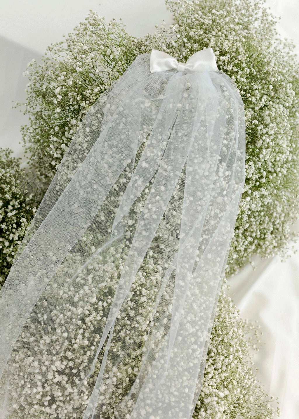 Audrey Veil