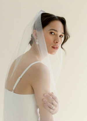 Audrey Veil