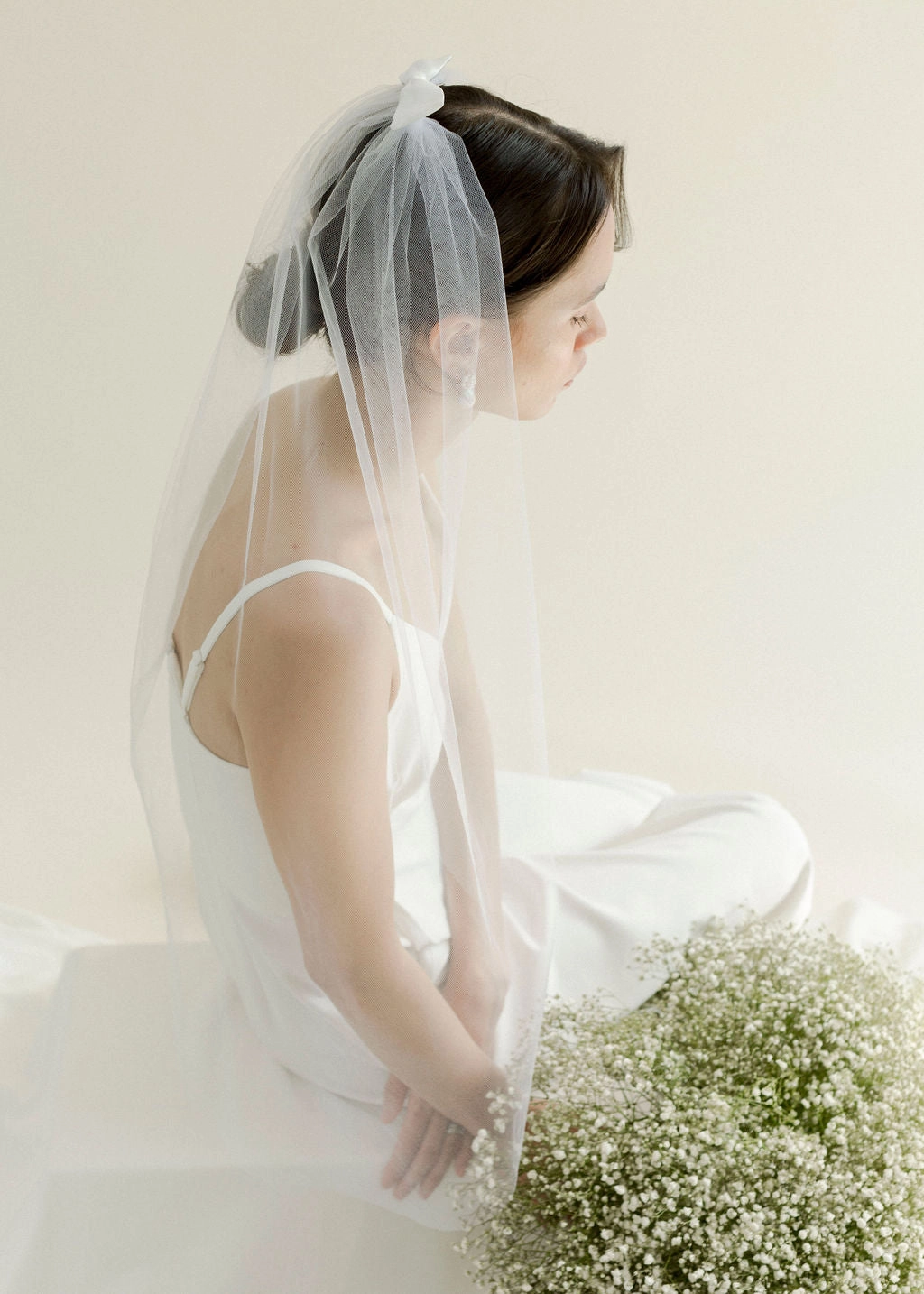 Audrey Veil