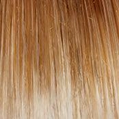 Dream Do Wig by Gabor | Synthetic Lace Front
