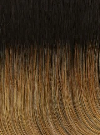Fanfare Wig by Raquel Welch | Heat Friendly Synthetic (Lace Front Mono Top)