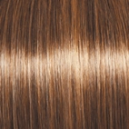 High Society Wig by Gabor | Synthetic (Lace Front Mono Part)
