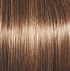 High Society Wig by Gabor | Synthetic (Lace Front Mono Part)