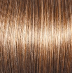 High Society Wig by Gabor | Synthetic (Lace Front Mono Part)