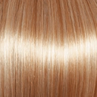High Society Wig by Gabor | Synthetic (Lace Front Mono Part)