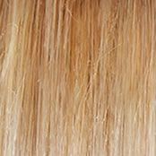 High Society Wig by Gabor | Synthetic (Lace Front Mono Part)