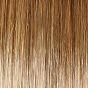 High Society Wig by Gabor | Synthetic (Lace Front Mono Part)