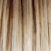 High Society Wig by Gabor | Synthetic (Lace Front Mono Part)