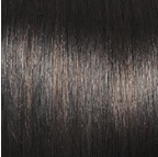 High Society Wig by Gabor | Synthetic (Lace Front Mono Part)