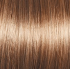 High Society Wig by Gabor | Synthetic (Lace Front Mono Part)