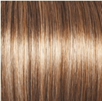 High Society Wig by Gabor | Synthetic (Lace Front Mono Part)