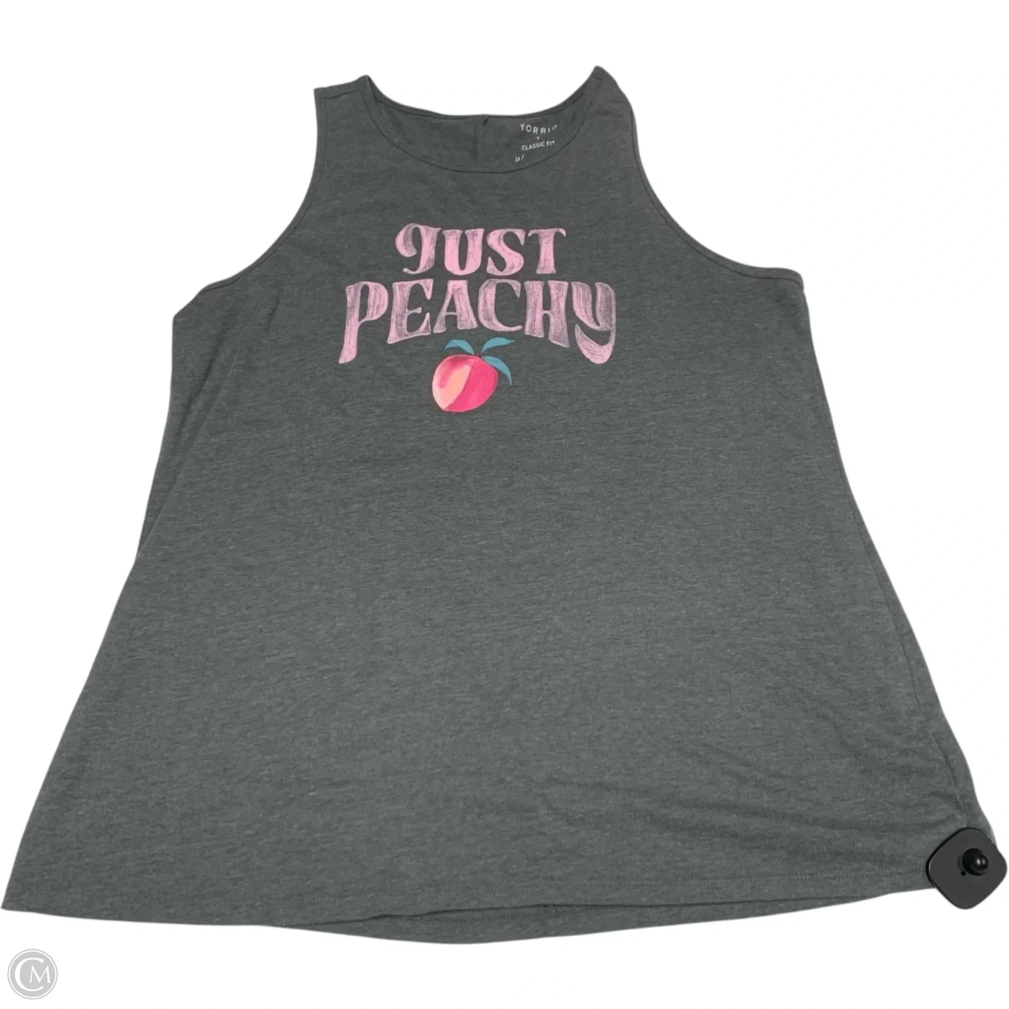 Top Sleeveless By Torrid In Grey & Pink, Size: 1x