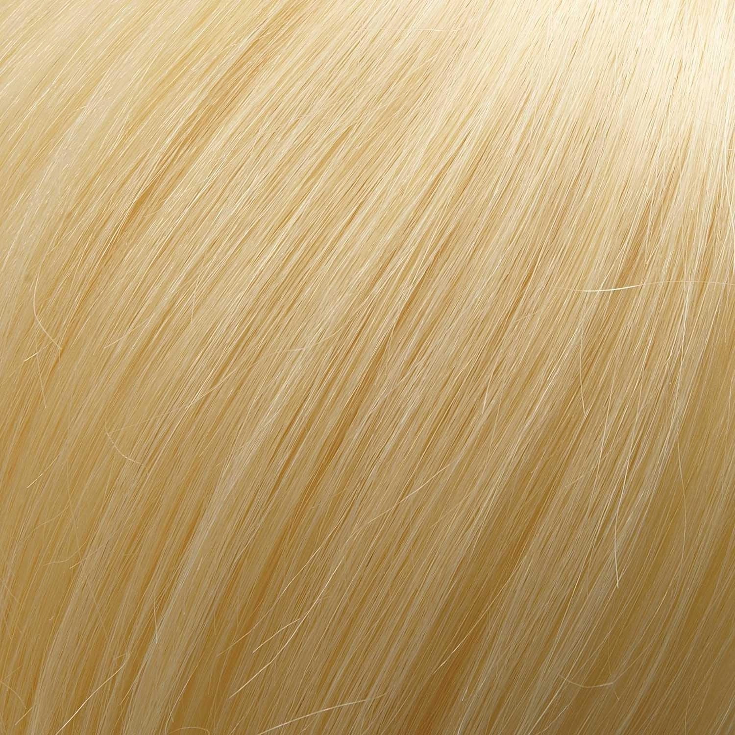Top Smart HH 18" (Renau Colors) Topper by Jon Renau | Remy Human Hair (Lace Front Mono Top)